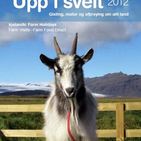 Opið hús hjá ferðaþjónustubændum í dag