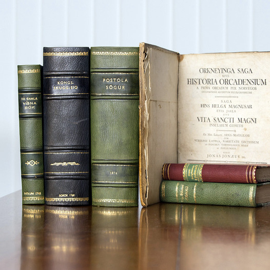 Hluti uppboðsgripanna. Mynd: Egill Bjarnason.