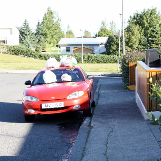 Óvenjulegt útilistaverk