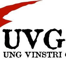 Ung Vinstri græn með landsfund