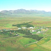 Níu greinast með krabbamein á einu ári