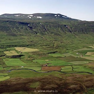 Opið hesthús á Varmalandi í Skagafirði