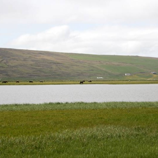 Leikdagskrá um Agnesi og Friðrik endurflutt