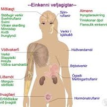 Vefjagigtarfræðsla ef næg þátttaka fæst