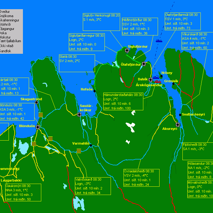 Flughált í Skagafirði