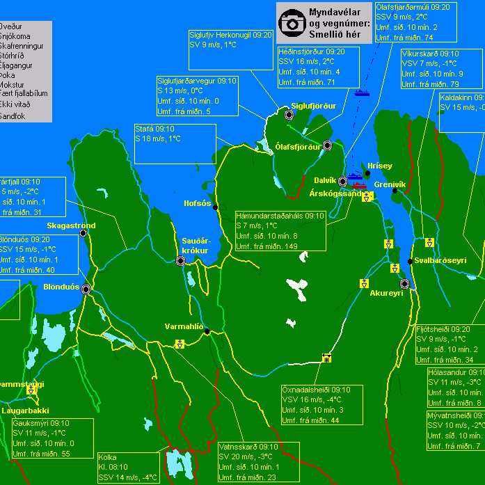 Flughált í Húnaþingi vestra