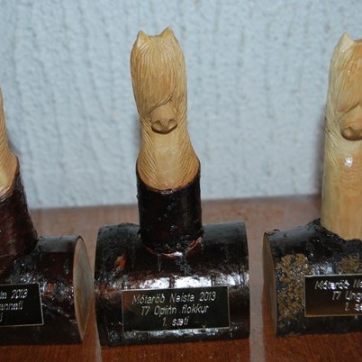 Úrslit fyrsta móts í Mótaröð Neista