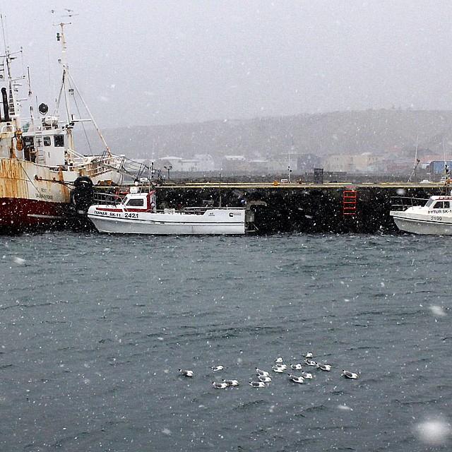 Sumarblíðan lætur bíða eftir sér
