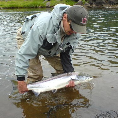 Veiðist vel í Víðidalsá