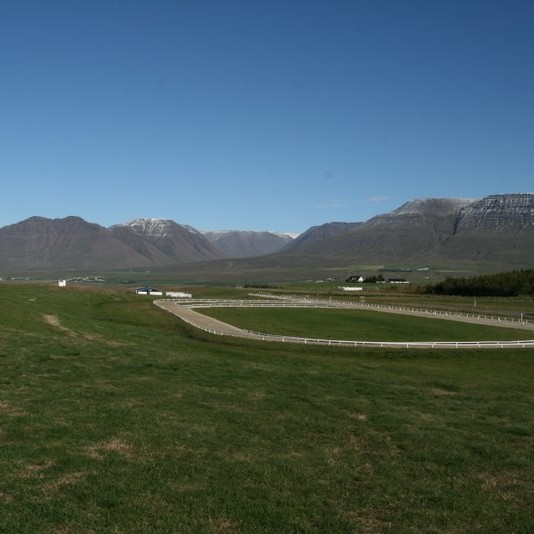 Fákaflug 2015 - Dagskrá