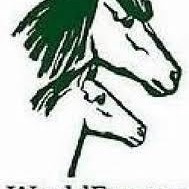 Fræðslufundur um WorldFeng í kvöld