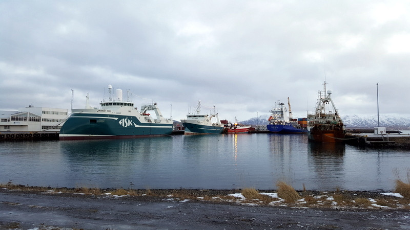 Í lok þriðju viku janúar verður farið í prufutúr á Drangey þar sem spilbúnaður og millidekksbúnaður verður prófaður. Myndin tekin á Þorláksmessu af nokkrum skipum í Sauðárkrókshöfn. /PF