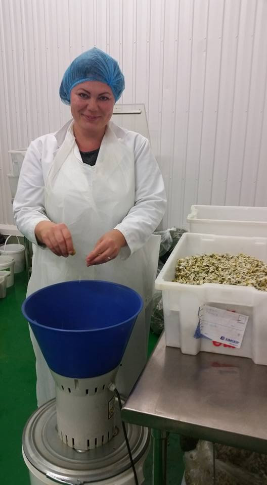 Hildur Þóra Magnúsdóttir, framkvæmdastjóri Pure Natura að störfum hjá fyrirtækinu, sem sérhæfir sig í framleiðslu fæðubótaefna sem unnin eru úr
íslenskum lamba innmat og íslenskum jurtum. Mynd: Pure Natura.