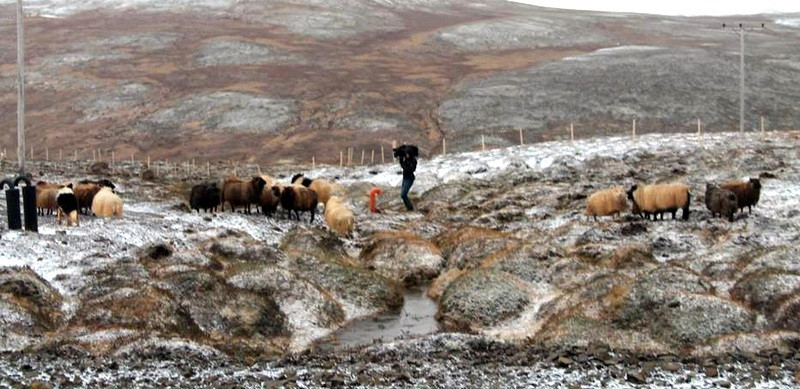 Myndatökumaður þýska sjónvarpsins Bayerischer Rundfunk að störfum hjá Karólínu í Hvammshlíð sem á myndina og birti á Fésbókinni sinni.