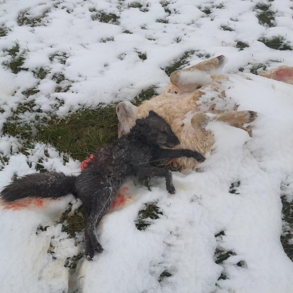 Þarna töpuðu tveir. MYND KÁRI GUNNARS.