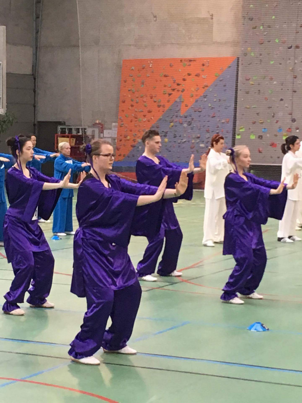 Mynd úr keppninni. Fjólubláir eru íslenska liðið sem fékk gullbikar, (vantar einn á myndina). Þetta er form sem heitir Liu zi jue og fékk Herdís hæstu einkunn í sama formi í einstaklingskeppninni.