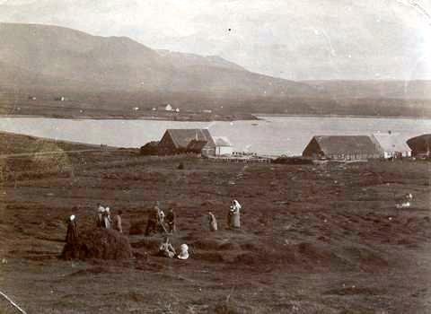 Heyskapur á Hólanesi 1904. Myndin flokkast undir óþekkta afhendingu hjá Héraðsskjalasafni Austur-Húnavatnssýslu.