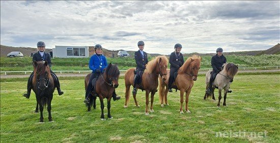 Hér má sjá 5 efstu í Gæðingatölti hjá Neista. Mynd:neisti.net.