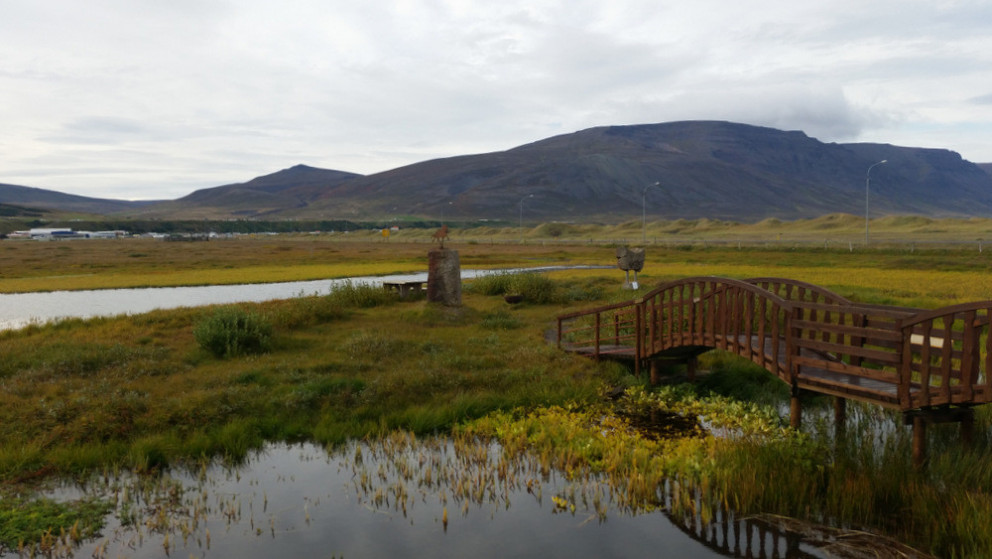 Víðistjörn og Víðishólmi. Mynd: KSE