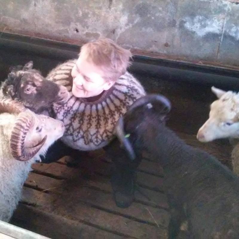 Bóndinn Haddý í lopapeysunni. Aðsendar myndir.