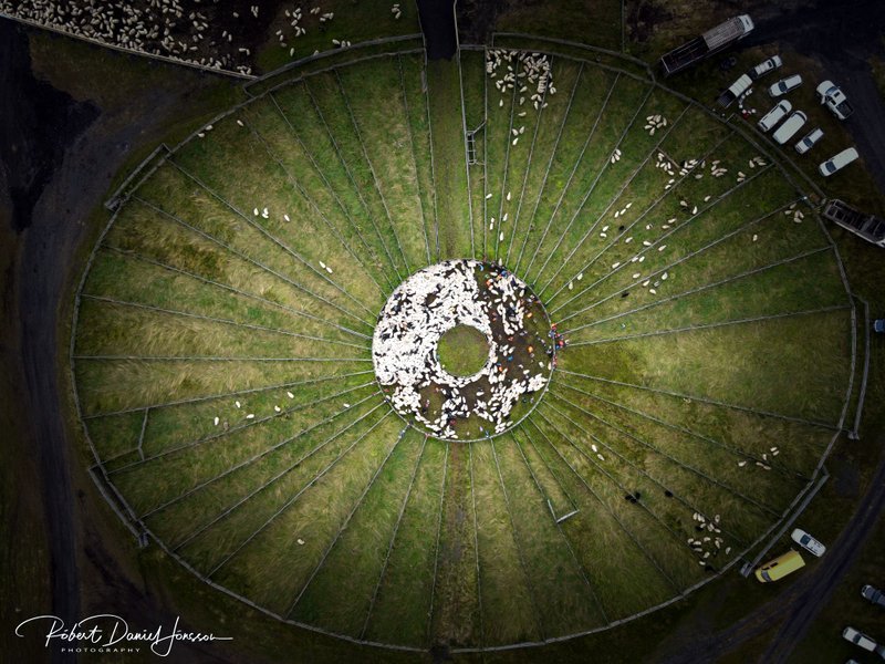 Undirfellsrétt í morgunsárið sunnudaginn 6. september 2020. Mynd: Róbert Daníel Jónsson.