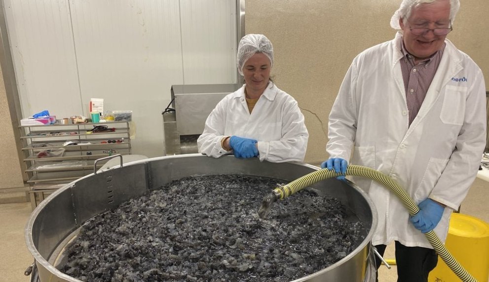 Judith Maria Scheja og Hjörleifur Einarsson vinna að verkefninu. MYND/BIOPOL