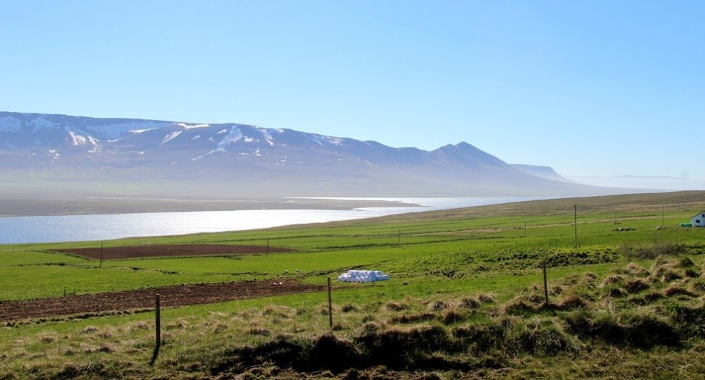 Svínavatn í Húnavatnshreppi. Mynd/BÞ