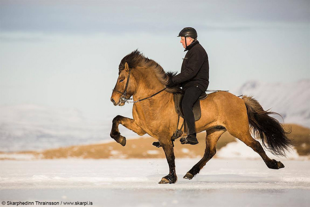 Opið hús hjá Hildi og Skapta á Hafsteinsstöðum