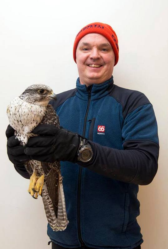 Fálkinn Ógn ásamt Róberti Daníel Jónssyni á Blönduósi.