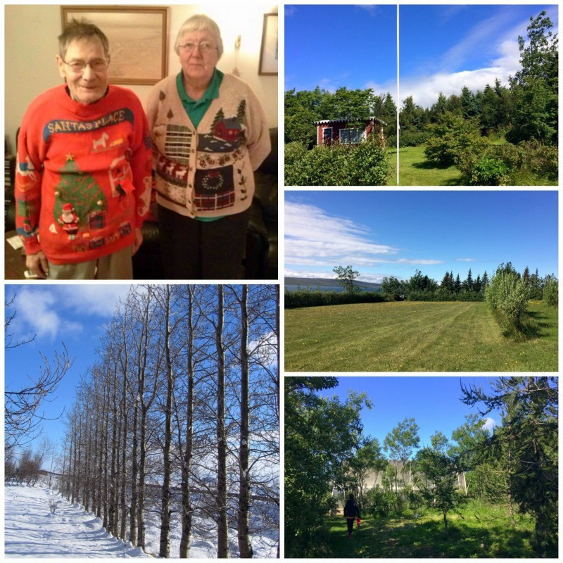 Myndir af Blettinum ásamt Lillu og Sigga. Mynd: Aðsend