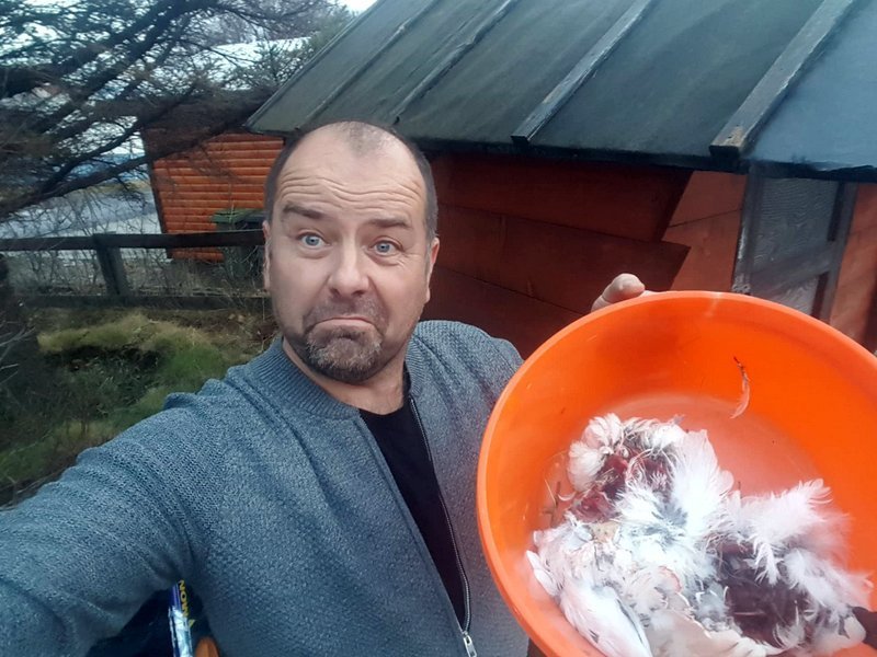 Guðbrandur Ægir búinn að finna rjúpurnar sem hurfu sporlaust úr trénu. Aðsendar myndir.