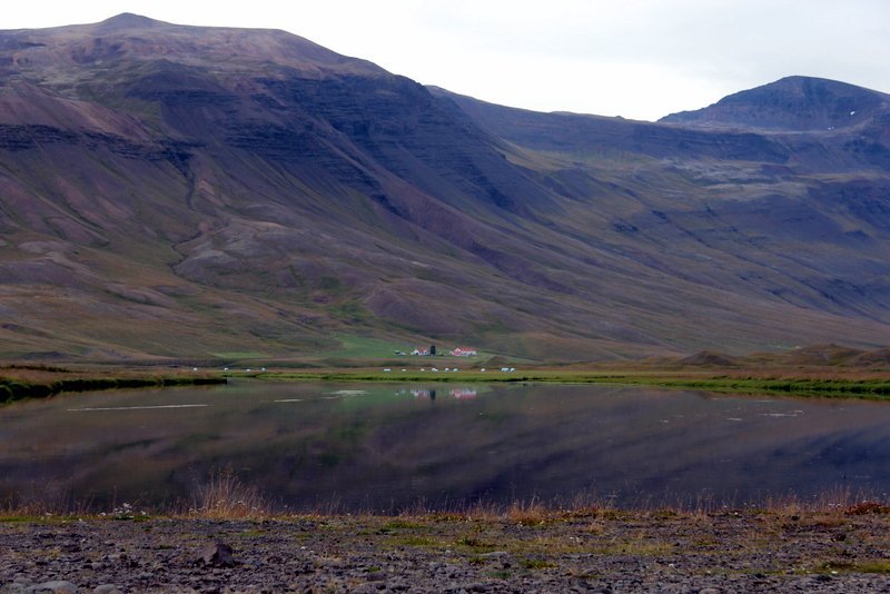 Úr Vatnsdal í Húnaþingi. Mynd:FE