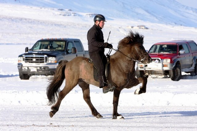 Frá ísmóti. Mynd:landsmot.is