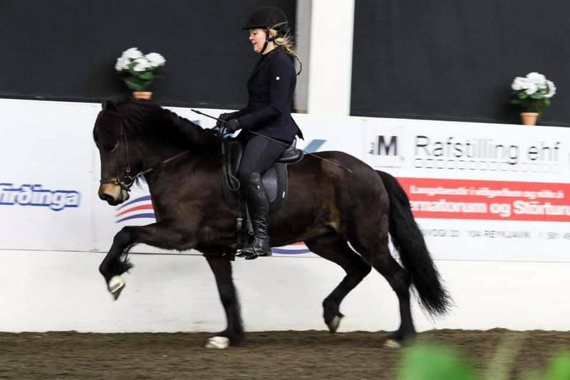 Mynd af FB síðu Meistaradeildar KS.