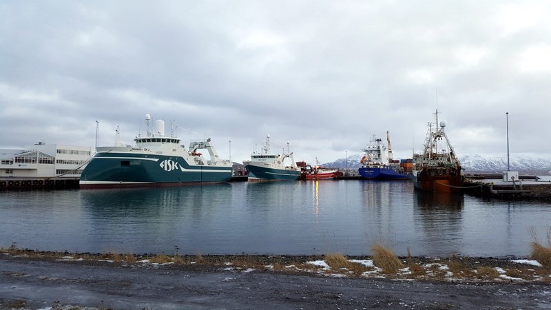 Dýrmæt viðskipti fyrir Skagafjörð