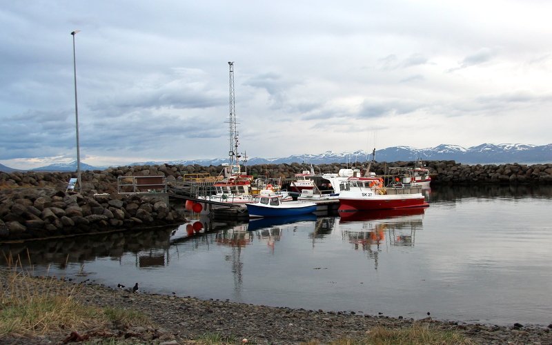 Hofsóshöfn. Mynd:FE