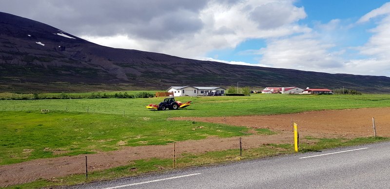 Sláttur hófst á Gili í vikunni. Mynd:PF