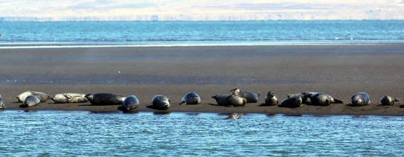 Leitað að nafni á hringveg um Vatnsnes og yfir í Kolugljúfur