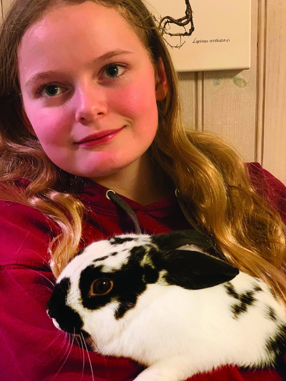 Súsanna Guðlaug Halldórsdóttir og kanínan Snúbbi. Mynd aðsend.