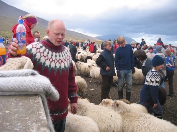 Hér má sjá Einar Einarsson bónda í Skörðugili ábyrgðarfullan í Staðarrétt með svaladrykk í hönd. Mynd: Skagafjordur.is.