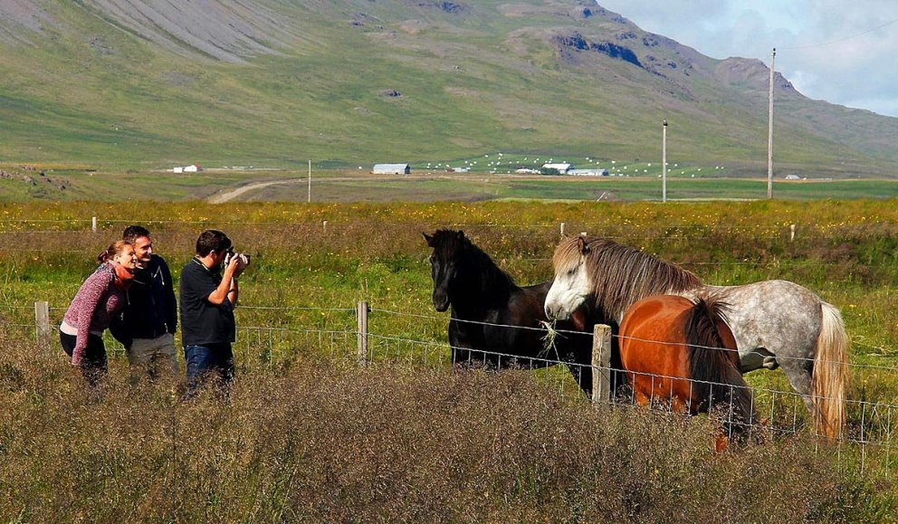 Ferðamenn njóta nálægðarinnar við hesta í náttúru Norðurlands vestra. MYND: ÓAB