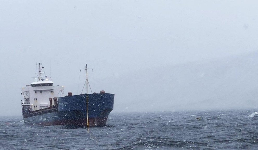 Wilson laus og liðugur fáeinum dögum eftir strandið. Myndina tók Guðmundur St. Valdimarsson. MYND AF VEF LHG