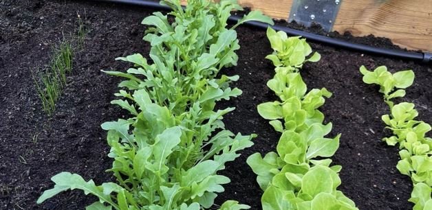 Myndir teknar af heimasíðu Sveitarfélagsins.