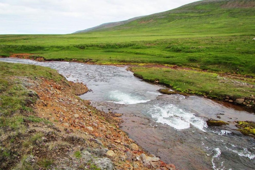 Frá Víðidalstunguheiði. MYND AF VEF HÚNAÞINGS VESTRA