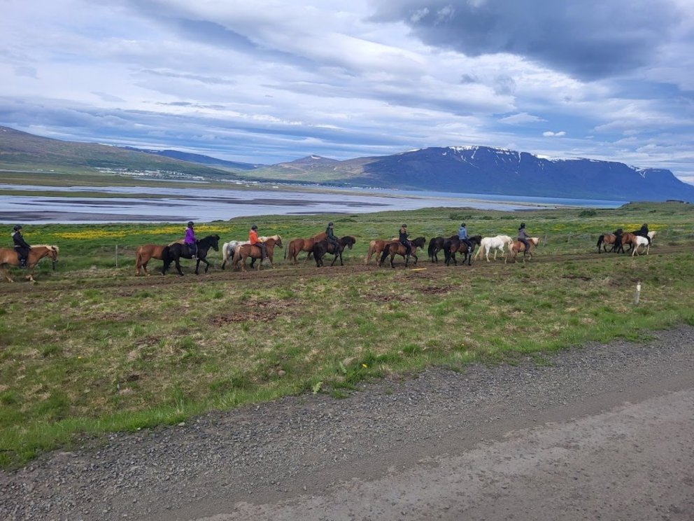 mynd tekin af heimasíðu ssnv.is.