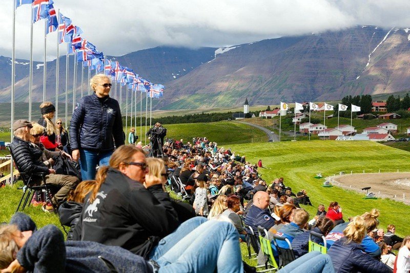 Áhorfendabrekkan á Hólum á Landsmóti 2016. Mynd:óab.