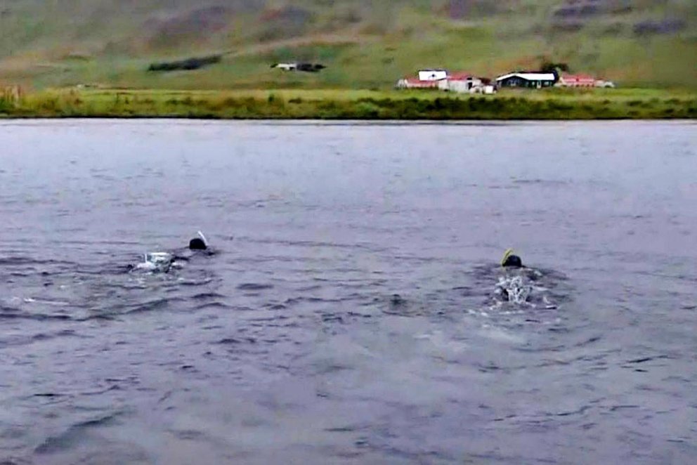 Kafarar að störfum í húnvetnskum ám við leit að eldislaxi. SKJÁSKOT AF RÚV.IS