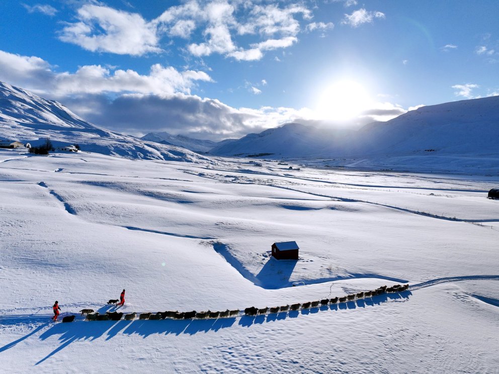 Bláhvít vetrarslæða yfir Fljótunum. Myndin er tekin fyrir ofan bæinn Stóra-Holt þegar síðustu ærnar ofan úr Holtsdal voru sóttar. Til vinstri   glittir í hlíðar Hólafjalls en Brekkufjall gnæfir yfir á hægri hönd. Fyrir miðri mynd í fjarska er Hamarshyrna í Stíflu.– Það má reikna með að snjórinn sé horfinn að mestu núna eftir rigningu um síðustu helgi.   MYND : HALLDÓR GUNNAR