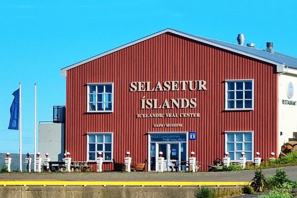 Selasetur Íslands á Hvammstanga. MYND AF NETINU