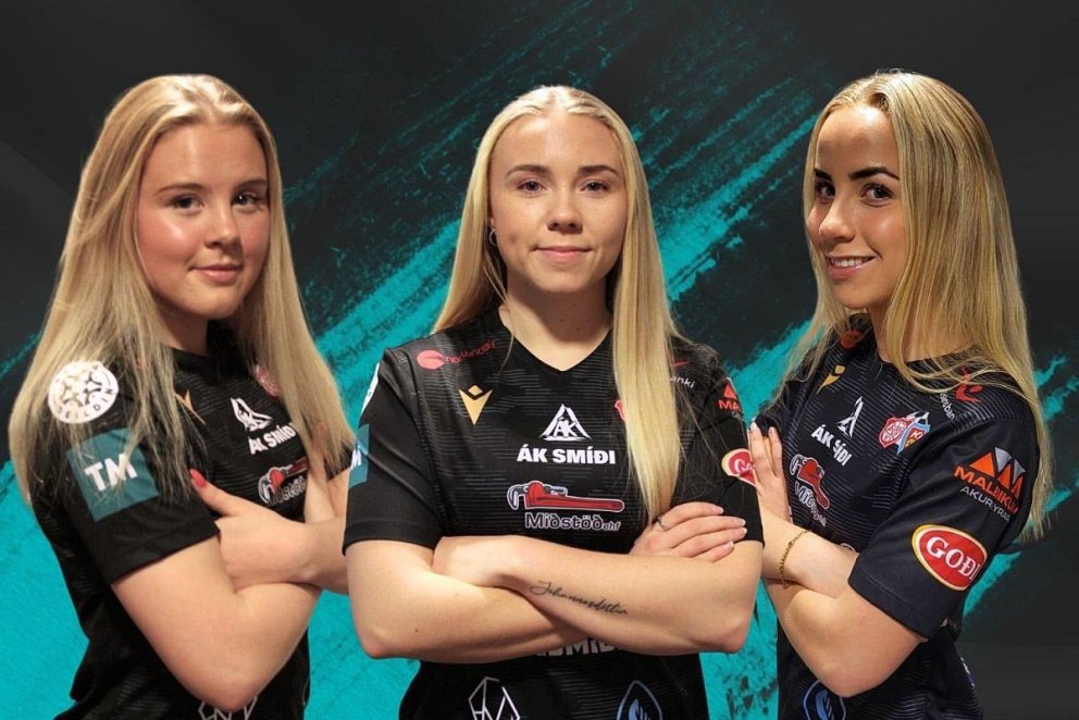 Skytturnar þrjár farnar norður. MYND AF NETINU